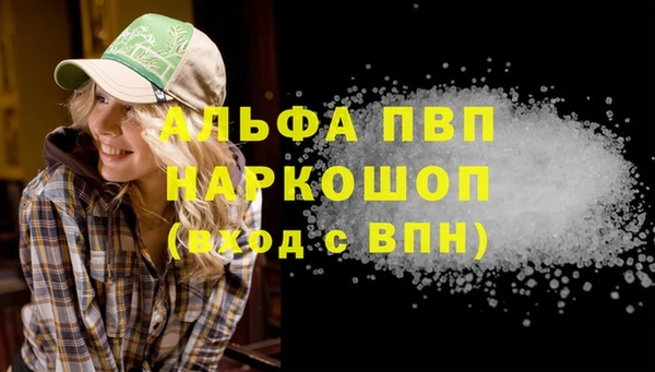 сатива Нестеровская