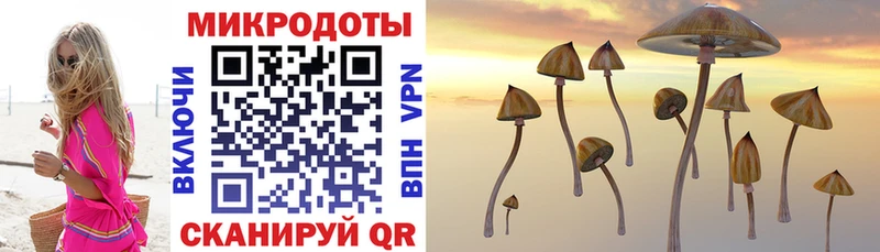 Купить закладки  Нурлат  Псилоцибиновые грибы GOLDEN TEACHER 